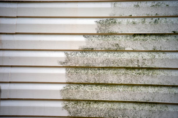 Best Insulated Siding Installation  in Mendota, CA