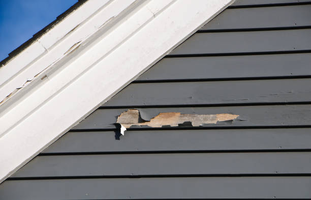 Best Residential Vinyl Siding Installation  in Mendota, CA