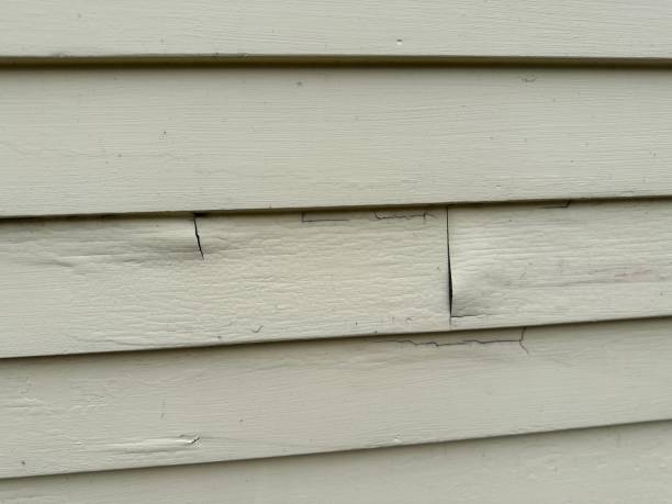 Best James Hardie Siding  in Mendota, CA